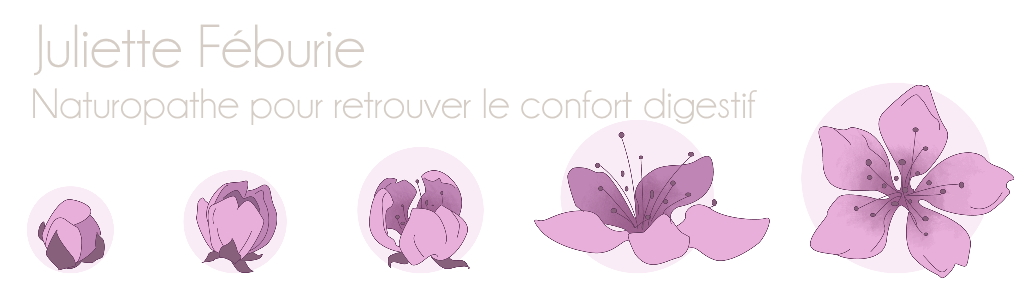 Juliette Féburie - Naturopathe pour retrouver le confort digestif